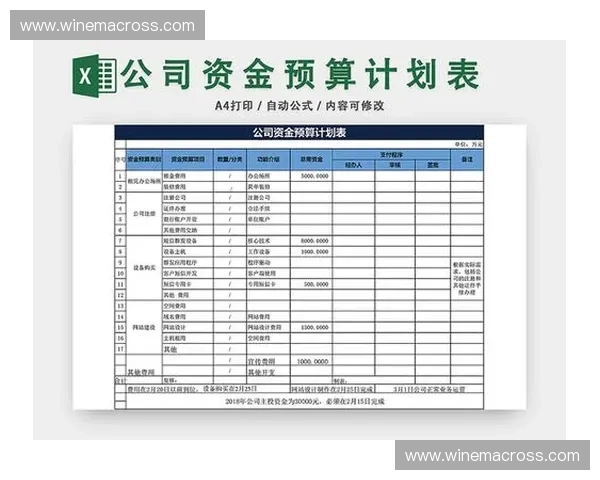 如何通过预算分配表实现高效资金管理和资源优化