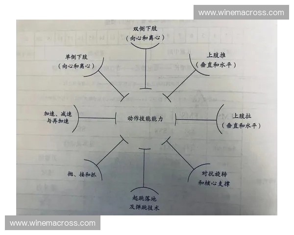 以肌力维持为核心促进健康与体能长期稳定发展的策略探讨实践路径 以肌力维持为核心促进健康与体能长期稳定发展的策略探讨实践路径