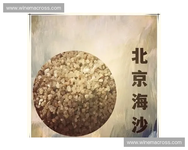 海浪变化对海洋生态系统的影响及其预测方法研究 海浪变化对海洋生态系统的影响及其预测方法研究