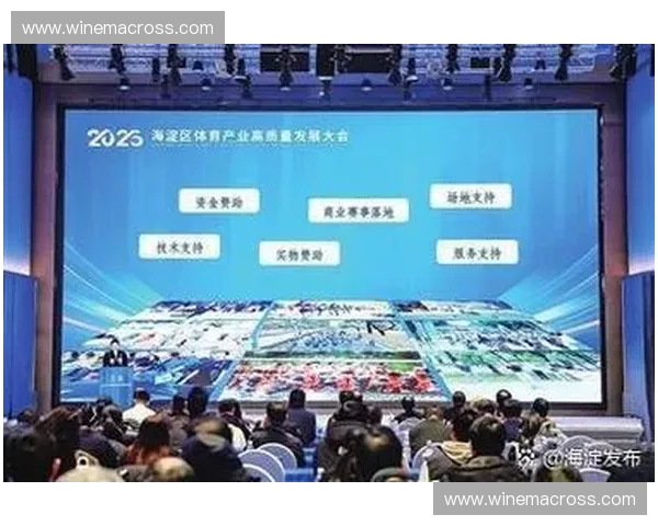 体育虚拟赛事驱动下的数字竞技产业创新与未来发展路径生态体系变革
