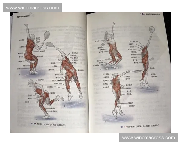 发球技巧全面解析与实战应用提升训练方法研究 发球技巧全面解析与实战应用提升训练方法研究