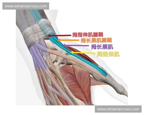 科学化运动康复方案制定与个体化康复效果提升研究 科学化运动康复方案制定与个体化康复效果提升研究