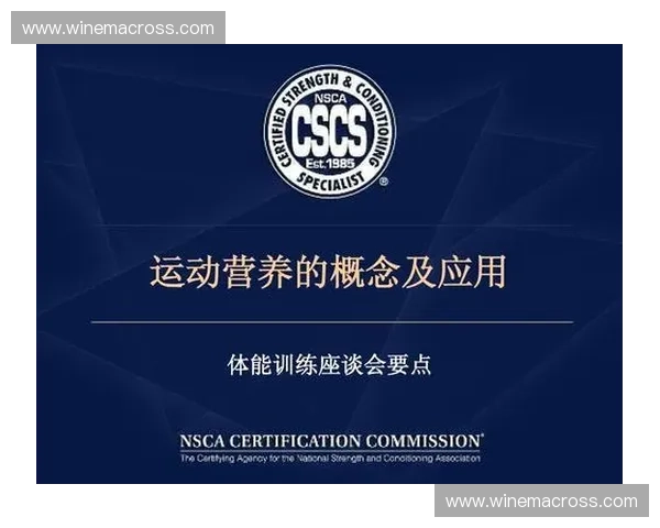 全面提升体能与健康的运动营养产品新方案解析