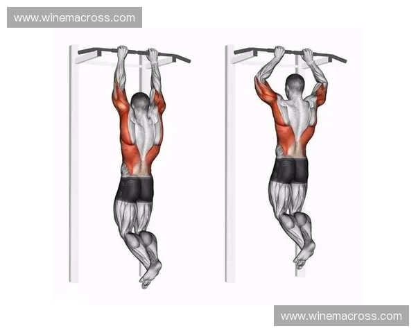 以引体向上核心发力技巧提升全身力量与肌肉控制能力的训练方案